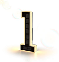 Solar Lighted House Numbers
