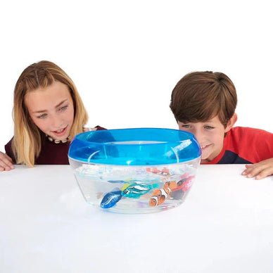 Transform Pool Time with Reef Adventures!